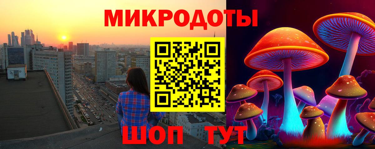 Галлюциногенные грибы прущие грибы Евпатория